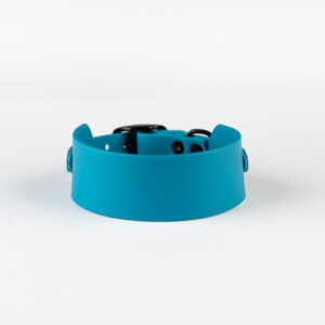 Blue Biothane collar