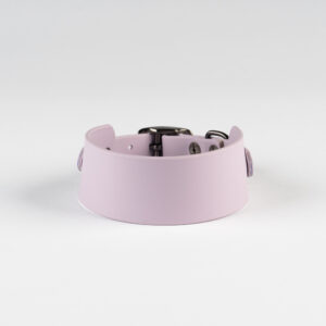 biothane dog collar