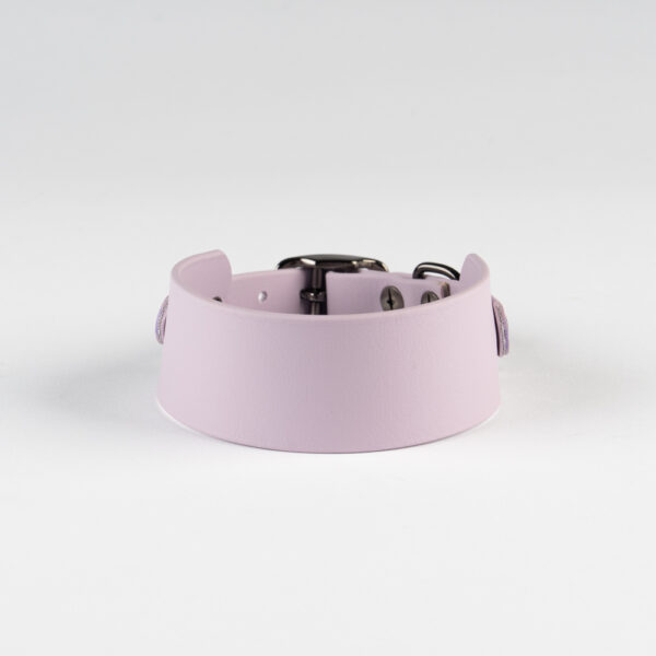 biothane dog collar
