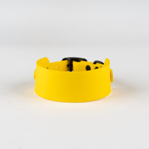 Yellow biothane collar
