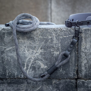 Biothane collar & leash set