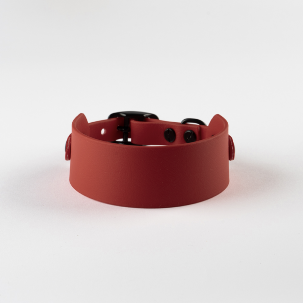 Crimson Red Biothane Collar