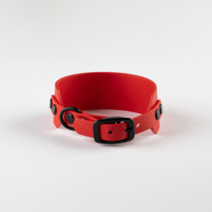 Alternative view of Imperial Red Biothane Collar