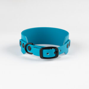Alternative view of Pacific Blue Biothane Collar