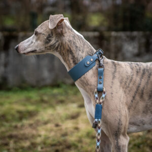 Biothane Collar
