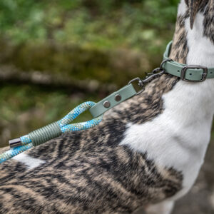 Alternative view of Dusty Olive Rope Biothane Leash
