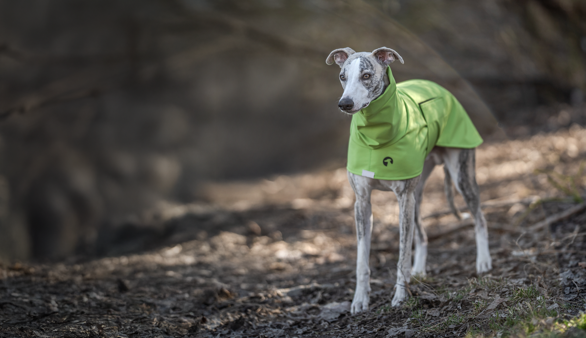 Whippet jackets