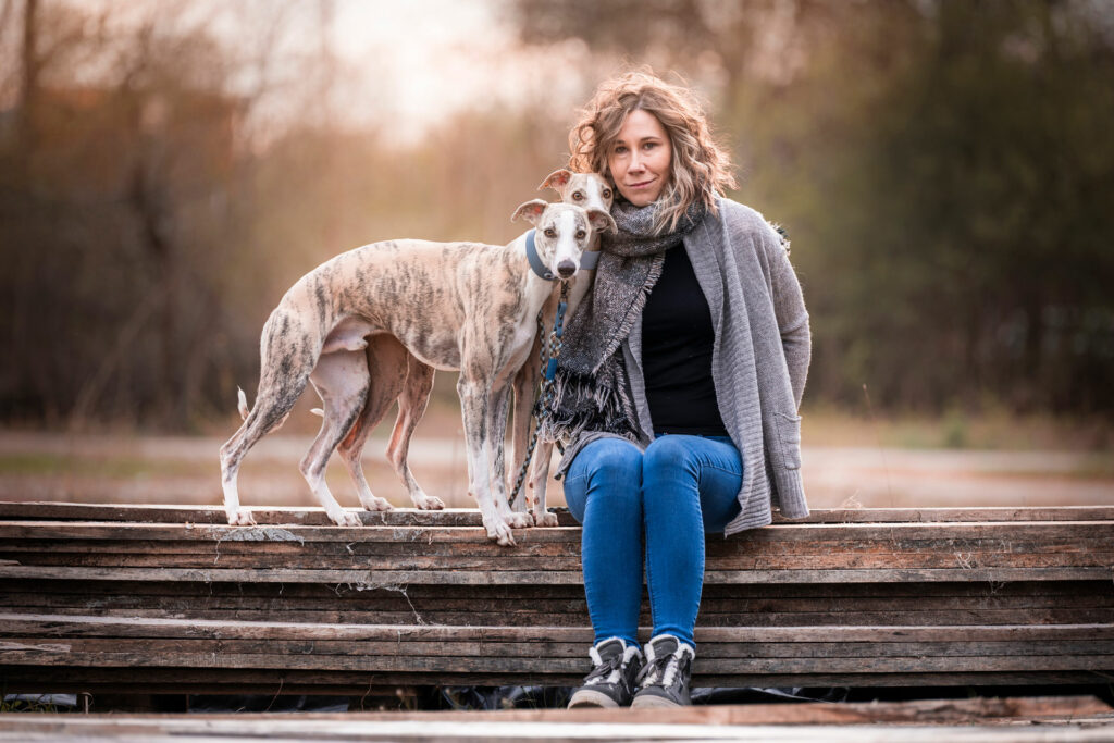 2 cream brindle whippets standing next to their owner