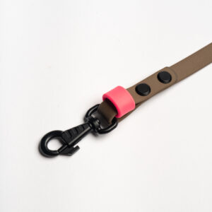 Neon pink biothane leash