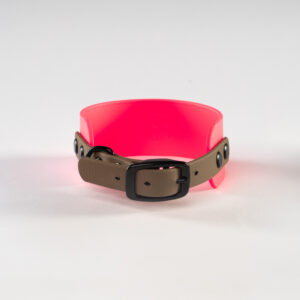 Neon pink biothane collar