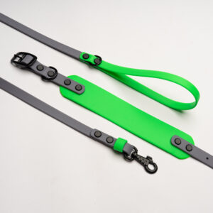 Green whippet collar