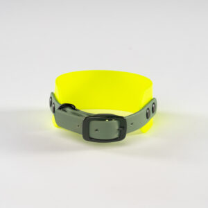 Yellow whippet collar