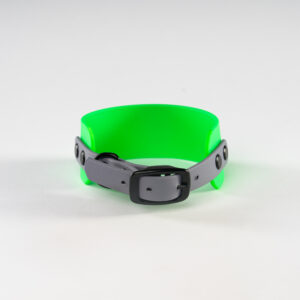 Neon green biothane collar