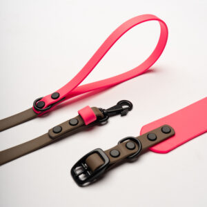 Neon pink biothane leash and collar