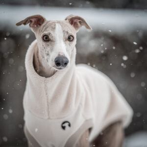 Whippet jumper
