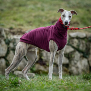 Alternative view of Sweater Lounge